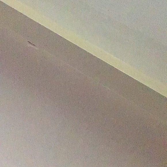 Meet your Posher, Raquel - Picture 1 of 1